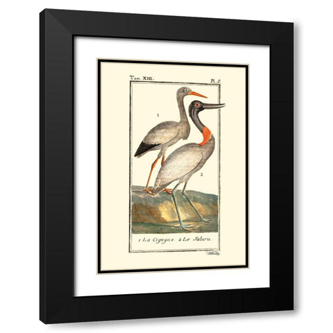Custom Buffon Cranes And Herons I Black Modern Wood Framed Art Print with Double Matting by Buffon