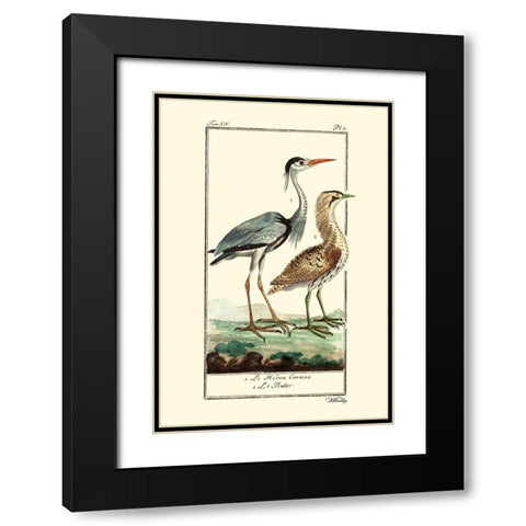 Custom Buffon Cranes And Herons III Black Modern Wood Framed Art Print with Double Matting by Buffon