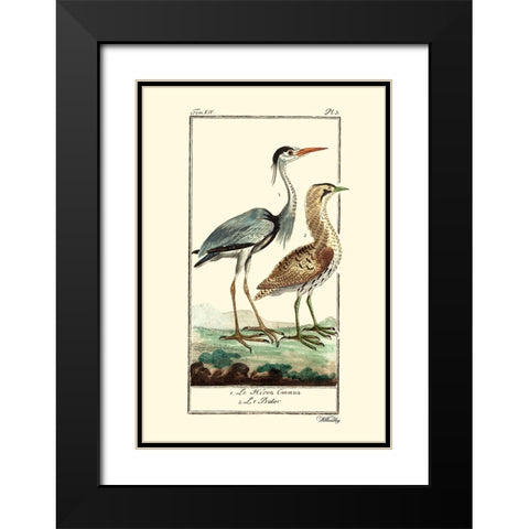 Custom Buffon Cranes And Herons III Black Modern Wood Framed Art Print with Double Matting by Buffon
