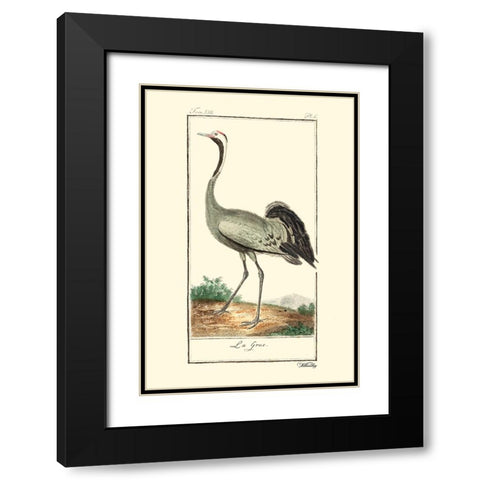 Custom Buffon Cranes And Herons IV Black Modern Wood Framed Art Print with Double Matting by Buffon