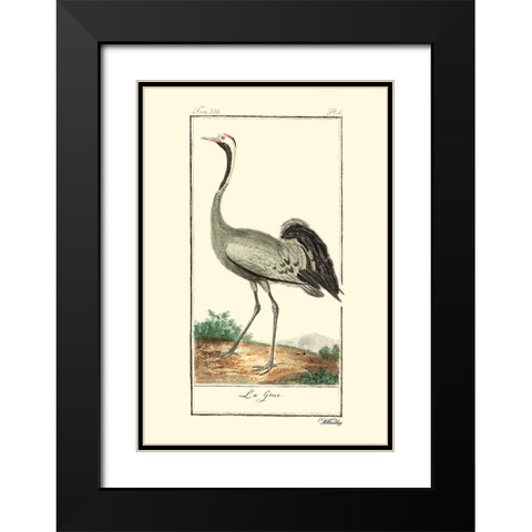 Custom Buffon Cranes And Herons IV Black Modern Wood Framed Art Print with Double Matting by Buffon