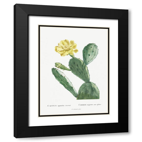 Redoute Cactus II Black Modern Wood Framed Art Print with Double Matting by Redoute, Pierre