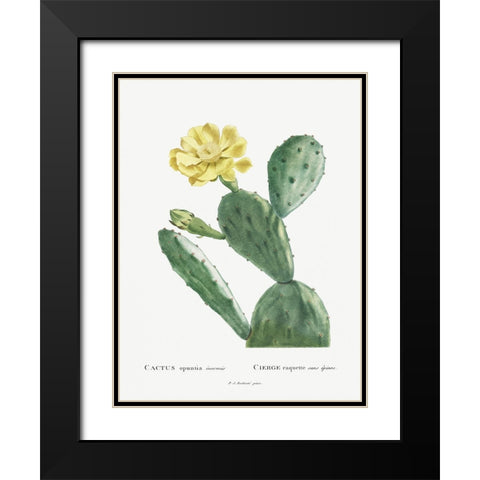 Redoute Cactus II Black Modern Wood Framed Art Print with Double Matting by Redoute, Pierre
