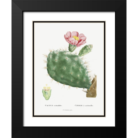 Redoute Cactus III Black Modern Wood Framed Art Print with Double Matting by Redoute, Pierre
