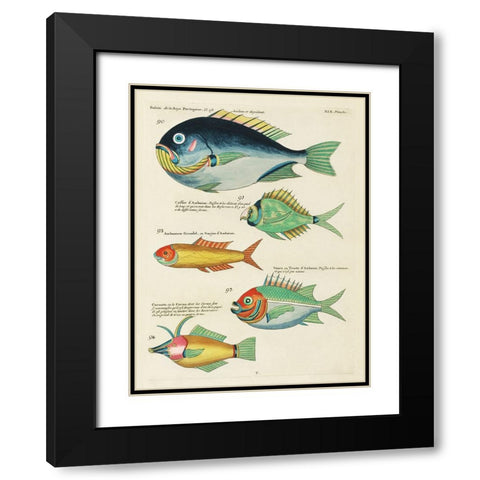 Renard Tropical Fish I Black Modern Wood Framed Art Print with Double Matting by Renard, Louis