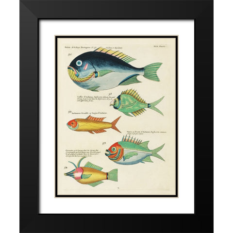 Renard Tropical Fish I Black Modern Wood Framed Art Print with Double Matting by Renard, Louis