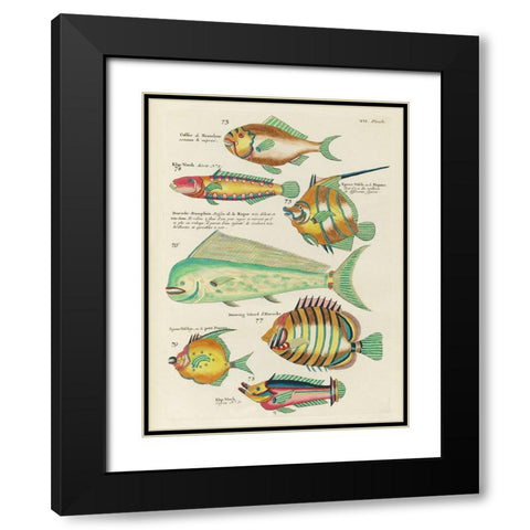 Renard Tropical Fish II Black Modern Wood Framed Art Print with Double Matting by Renard, Louis