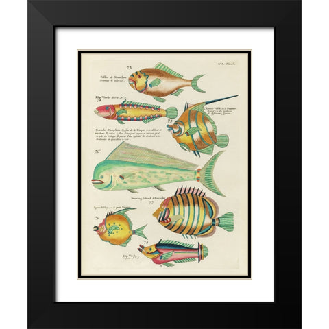 Renard Tropical Fish II Black Modern Wood Framed Art Print with Double Matting by Renard, Louis