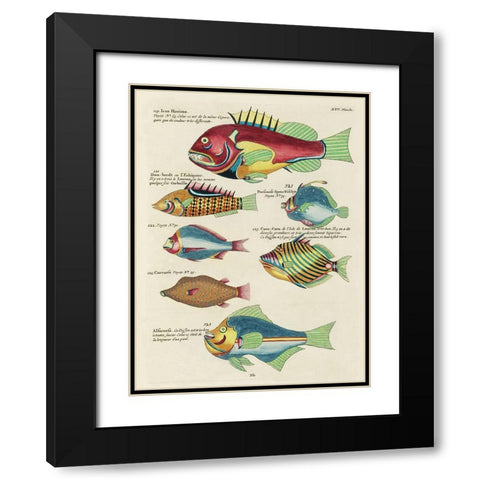 Renard Tropical Fish III Black Modern Wood Framed Art Print with Double Matting by Renard, Louis