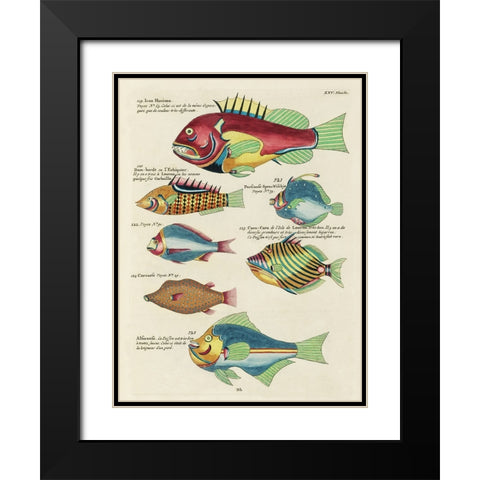 Renard Tropical Fish III Black Modern Wood Framed Art Print with Double Matting by Renard, Louis