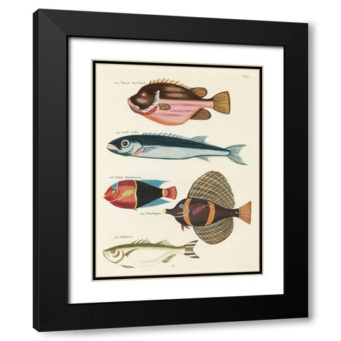 Renard Tropical Fish IV Black Modern Wood Framed Art Print with Double Matting by Renard, Louis