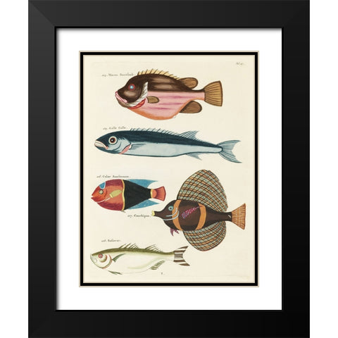 Renard Tropical Fish IV Black Modern Wood Framed Art Print with Double Matting by Renard, Louis