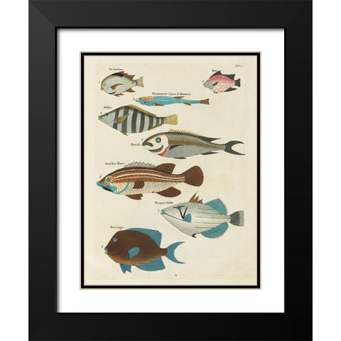 Renard Tropical Fish V Black Modern Wood Framed Art Print with Double Matting by Renard, Louis