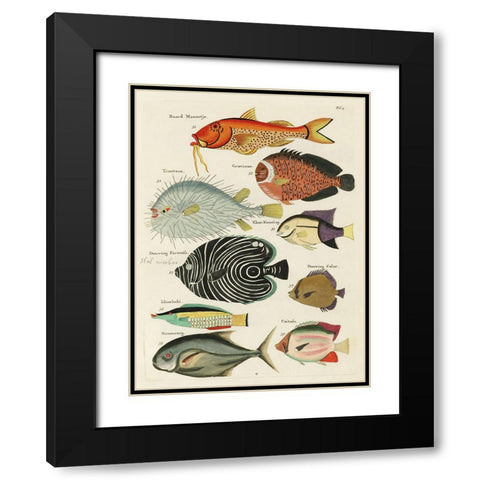 Renard Tropical Fish VI Black Modern Wood Framed Art Print with Double Matting by Renard, Louis