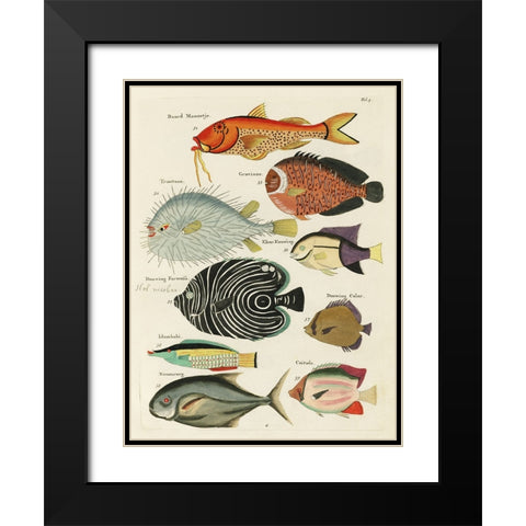 Renard Tropical Fish VI Black Modern Wood Framed Art Print with Double Matting by Renard, Louis