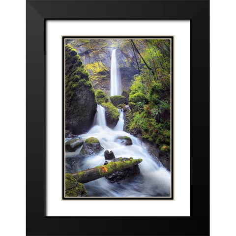 Rapid Waterfall I Black Modern Wood Framed Art Print with Double Matting by Drost, David