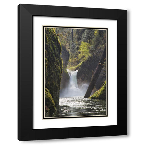 Rapid Waterfall II Black Modern Wood Framed Art Print with Double Matting by Drost, David