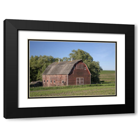 Rustic Palouse Barn I Black Modern Wood Framed Art Print with Double Matting by Drost, David
