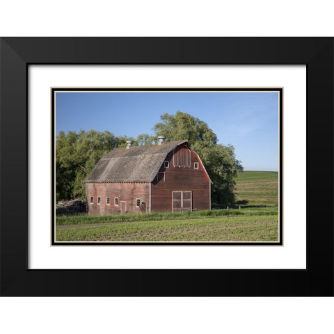 Rustic Palouse Barn I Black Modern Wood Framed Art Print with Double Matting by Drost, David