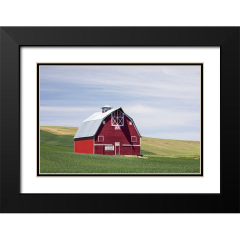 Red Palouse Barn II Black Modern Wood Framed Art Print with Double Matting by Drost, David