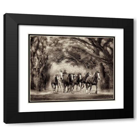 Running Under the Cottonwoods Black Modern Wood Framed Art Print with Double Matting by Drost, David