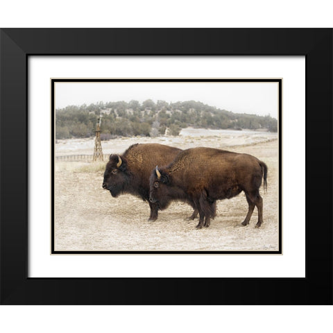 Twin Buffalo Black Modern Wood Framed Art Print with Double Matting by Drost, David