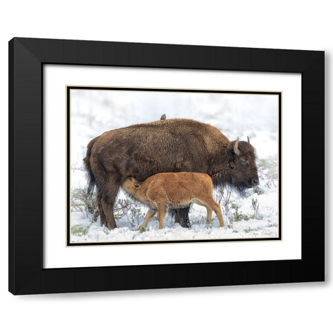 Mothers Milk Black Modern Wood Framed Art Print with Double Matting by Drost, David