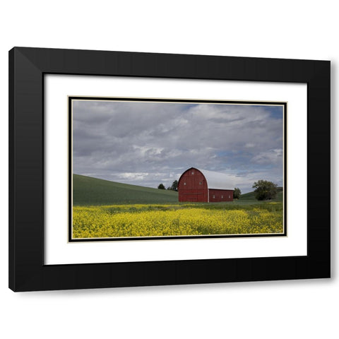 Palouse Barn and Flowers I Black Modern Wood Framed Art Print with Double Matting by Drost, David
