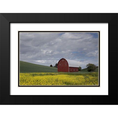 Palouse Barn and Flowers I Black Modern Wood Framed Art Print with Double Matting by Drost, David