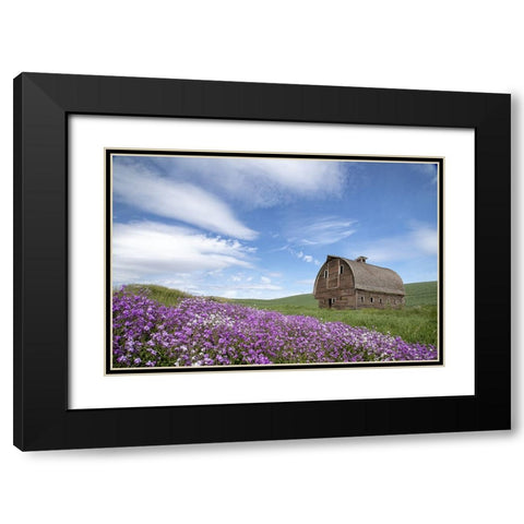 Palouse Barn and Flowers II Black Modern Wood Framed Art Print with Double Matting by Drost, David