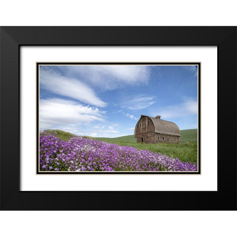 Palouse Barn and Flowers II Black Modern Wood Framed Art Print with Double Matting by Drost, David