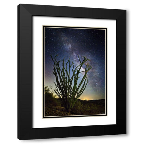 Desert Lights II Black Modern Wood Framed Art Print with Double Matting by Drost, David
