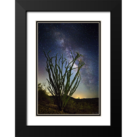 Desert Lights II Black Modern Wood Framed Art Print with Double Matting by Drost, David