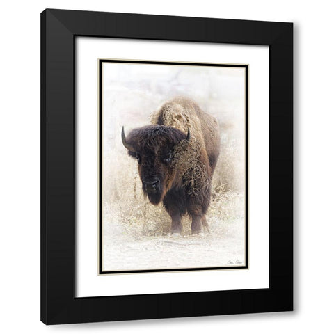 Standing Buffalo II Black Modern Wood Framed Art Print with Double Matting by Drost, David