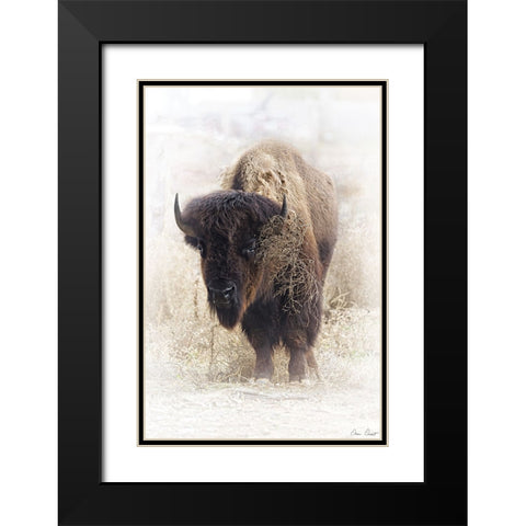 Standing Buffalo II Black Modern Wood Framed Art Print with Double Matting by Drost, David
