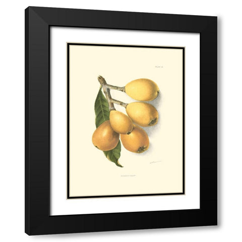 Custom Island Fronds II Black Modern Wood Framed Art Print with Double Matting by Vess, June Erica