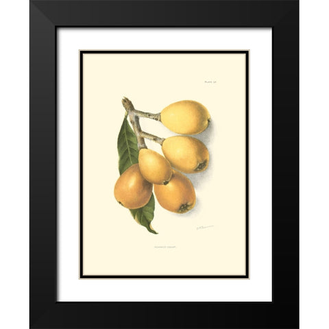 Custom Island Fronds II Black Modern Wood Framed Art Print with Double Matting by Vess, June Erica