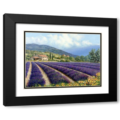 Fields Of Lavender Black Modern Wood Framed Art Print with Double Matting by Swanson, Michael