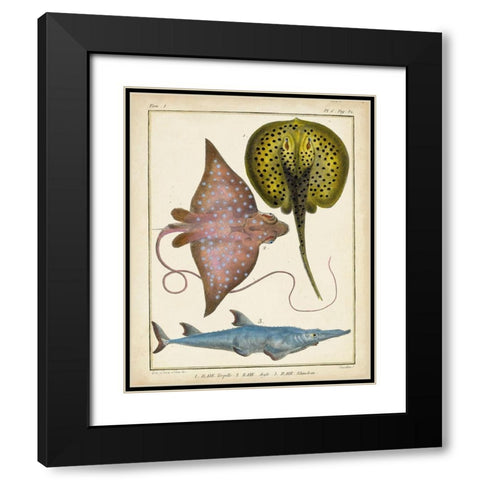 Antique Rays and Fish II Black Modern Wood Framed Art Print with Double Matting by Chevillet