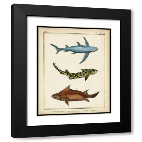 Antique Rays and Fish III Black Modern Wood Framed Art Print with Double Matting by Chevillet