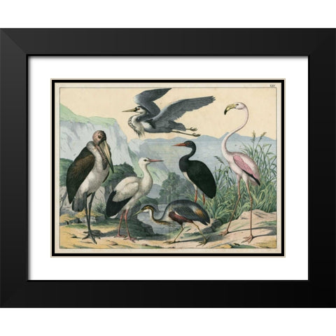 Water Guardians Black Modern Wood Framed Art Print with Double Matting by Unknown