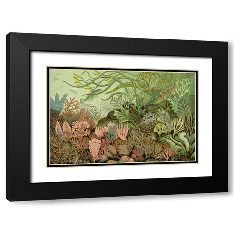 Seaweed Panorama Black Modern Wood Framed Art Print with Double Matting by Unknown