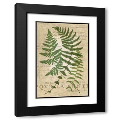 Fern Folio I Black Modern Wood Framed Art Print with Double Matting by Vision Studio