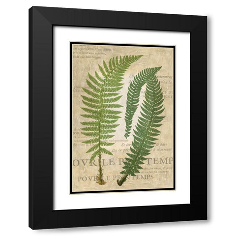 Fern Folio III Black Modern Wood Framed Art Print with Double Matting by Vision Studio