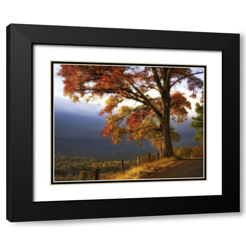 And Morning Comes Black Modern Wood Framed Art Print with Double Matting by Head, Danny