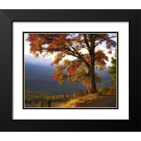 And Morning Comes Black Modern Wood Framed Art Print with Double Matting by Head, Danny