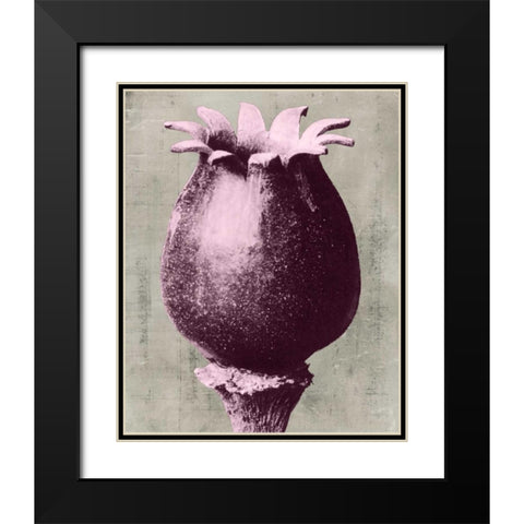 Blossfeldt Redeux I Black Modern Wood Framed Art Print with Double Matting by Vision Studio