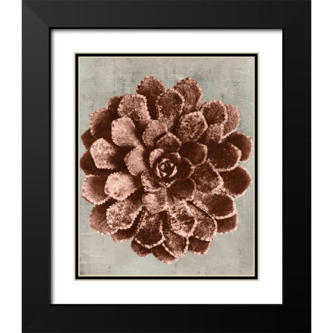 Blossfeldt Redeux II Black Modern Wood Framed Art Print with Double Matting by Vision Studio