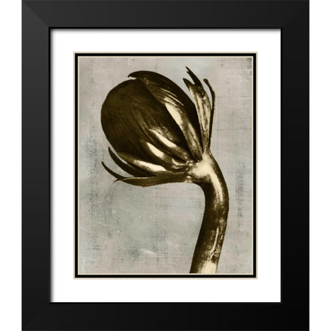 Blossfeldt Redeux III Black Modern Wood Framed Art Print with Double Matting by Vision Studio