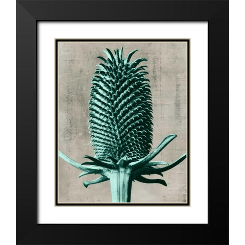 Blossfeldt Redeux V Black Modern Wood Framed Art Print with Double Matting by Vision Studio